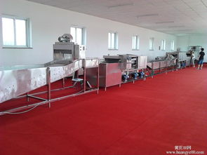 家用全自動洗碗機選購全攻略 關鍵要點與避坑指南